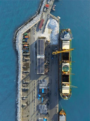 High-capacity ship-to-shore conveyor belt system handling bulk materials at a coastal port terminal.