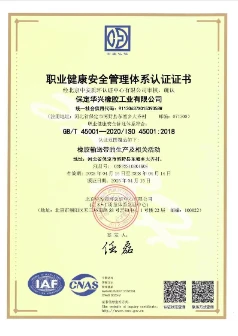 ISO 45001 Occupational Health and Safety Management System Certificate